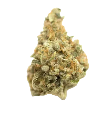 Citrus Burst